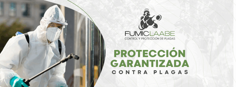 8826 fumiclaabe 768x285