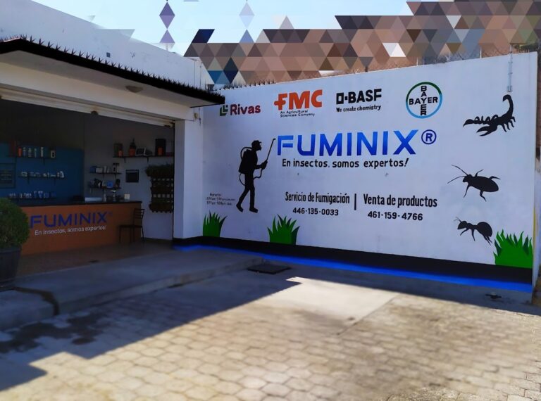 8832 fuminix 768x570