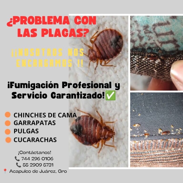 8841 navega control de plagas y sanitizacion 768x768