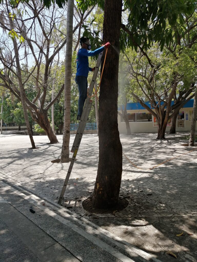 8845 chase control de plagas 768x1024