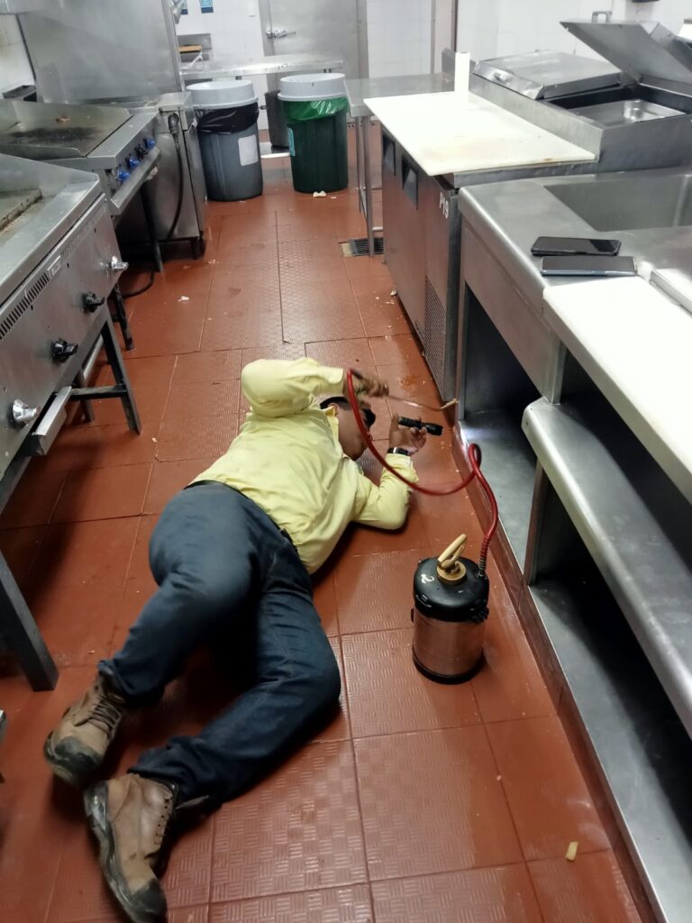 8866 fumylim fumigacion y control de plagas en ixtapa 768x1024