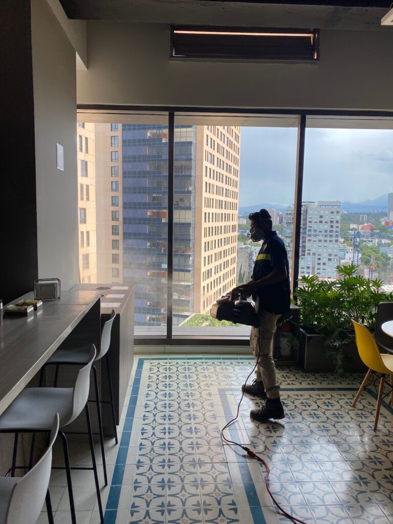 8954 fh fumigaciones hernandez 768x1024