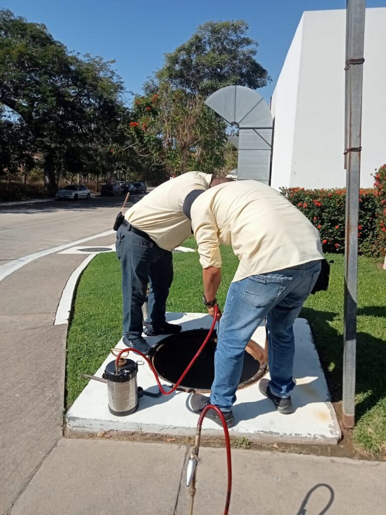 8966 fumylim fumigacion y control de plagas en uruapan 768x1024