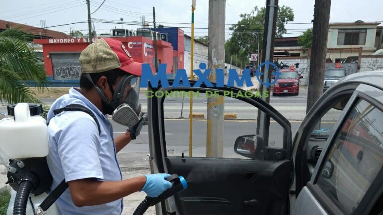 9032 maximo fumigaciones y control de plagas 768x431