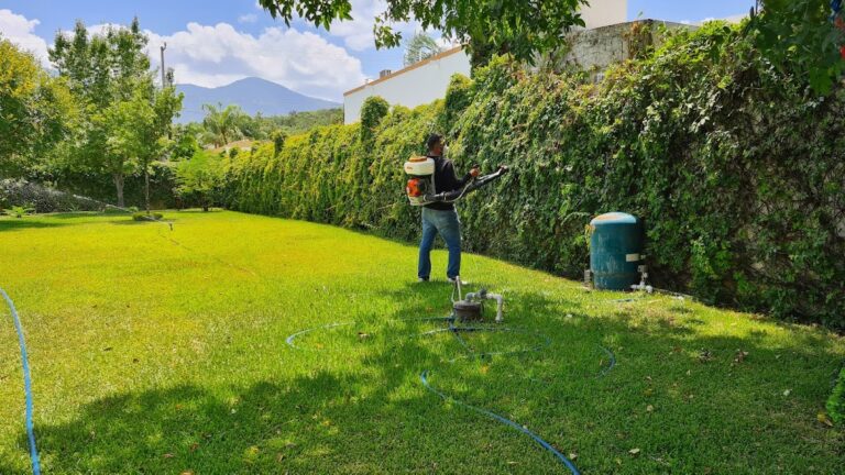 9034 fumigaciones fly 768x432