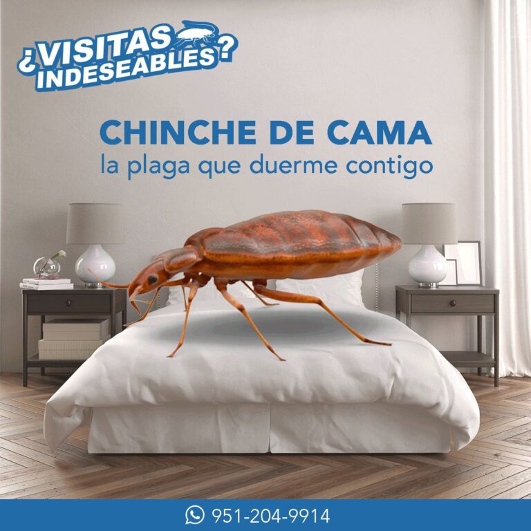 9055 control total especialistas en plagas 768x768