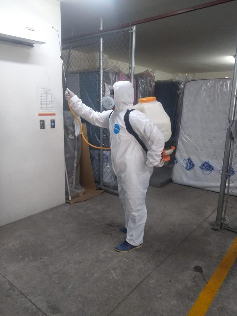 9061 fumigaciones pochutla