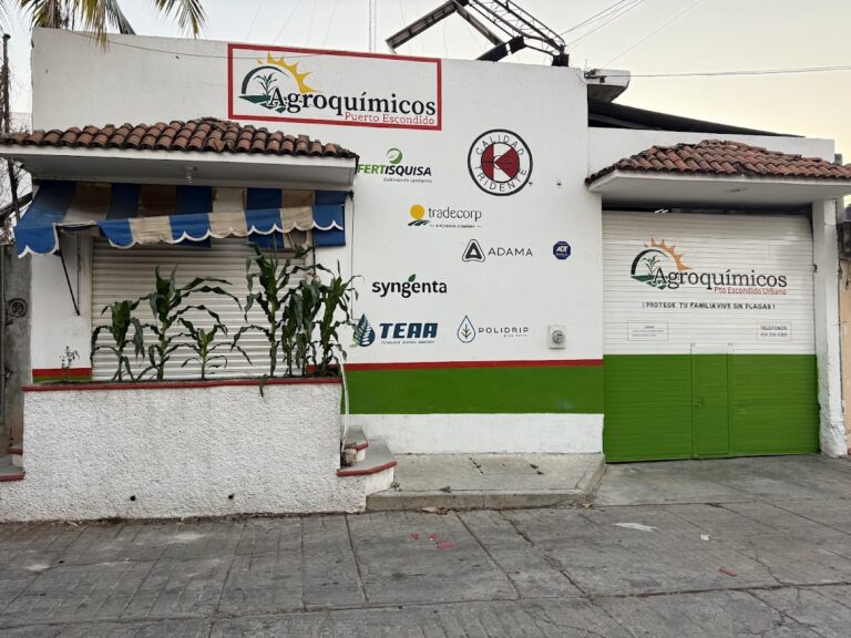 9065 agroquimicos puerto escondido urbano fumigaciones 768x576