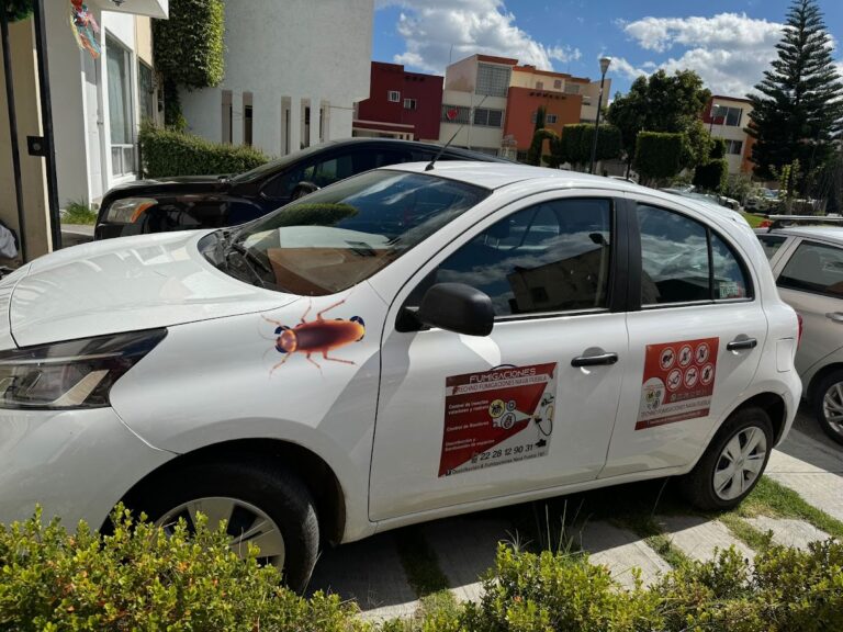 9076 fumigaciones nava puebla 768x576