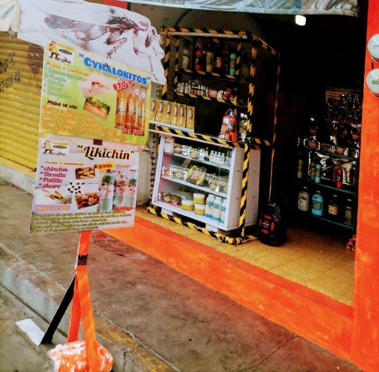 9086 paraiso fumigaciones tehuacan 768x753