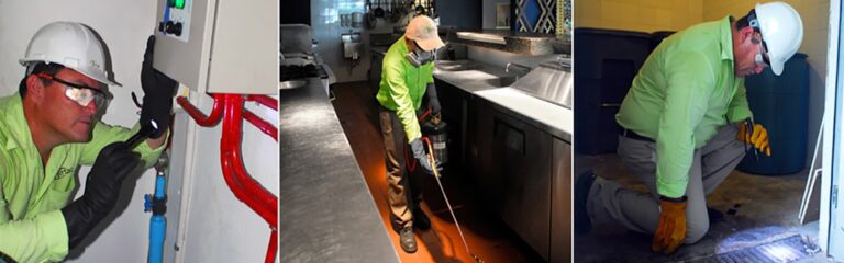 9121 birtac fumigaciones playa del carmen 768x240