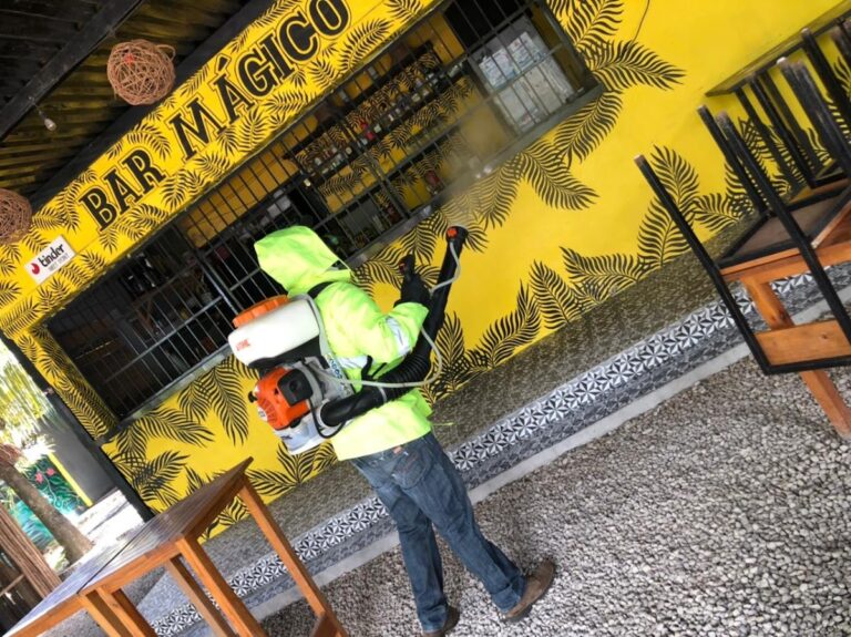 9137 fumigaciones sanitizacion y desinfecciones chetumal t control de plagas chetumal 768x575