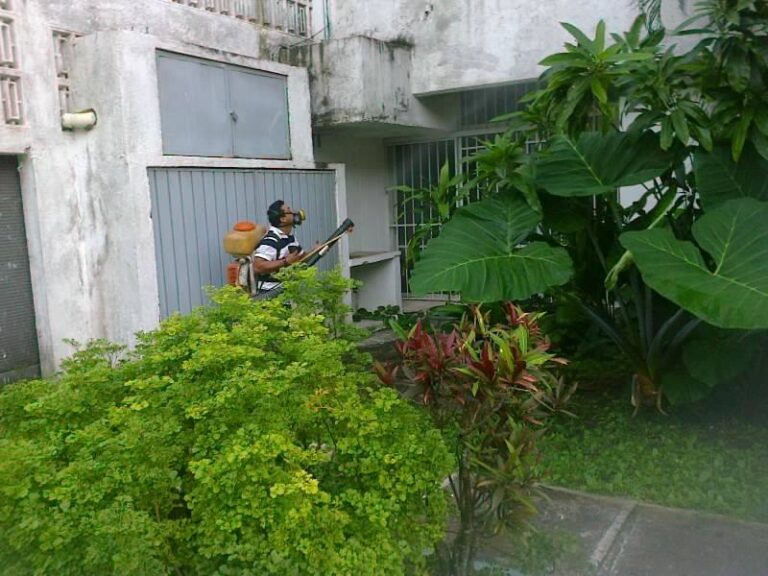 9141 fumigaciones y extinguidores del sureste 768x576