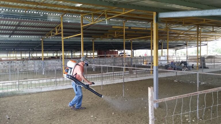 9143 fumigaciones en un 22153 768x432