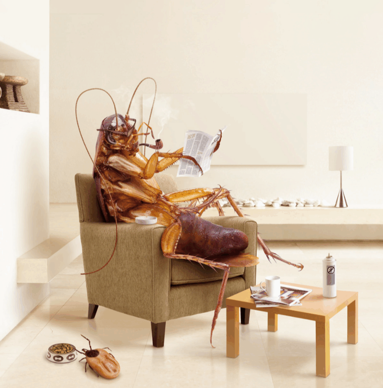 9147 fumigaciones potosi 768x777