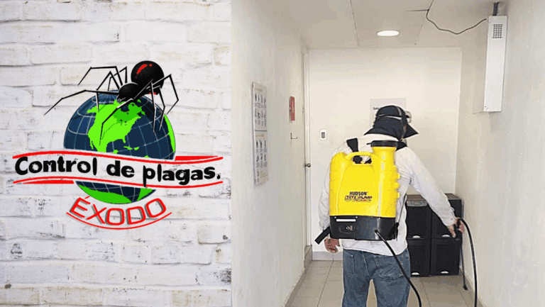 9151 fumigacion y control de plagas en san luis potosi 768x433