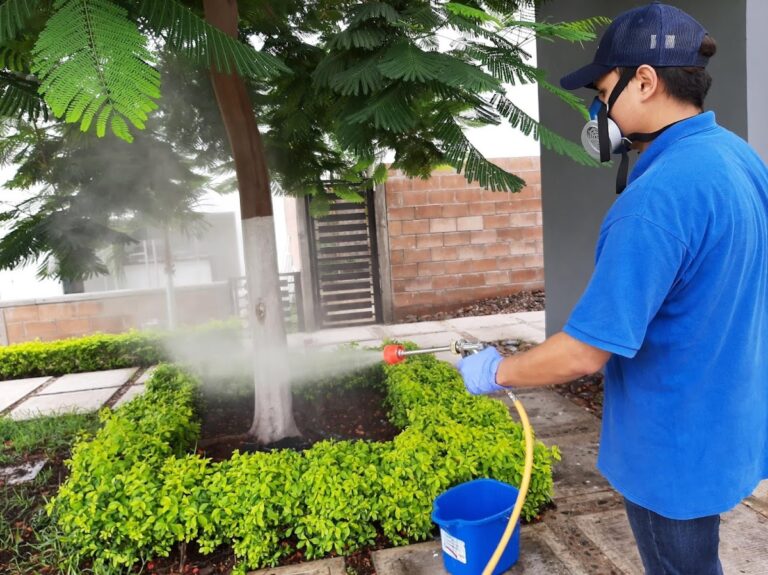 9166 fumigaciones del humaya 768x575