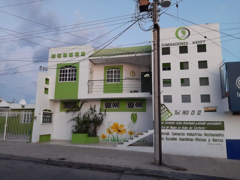 9179 fumigaciones keidy 768x575