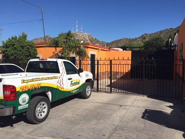 9191 fumisol 768x576