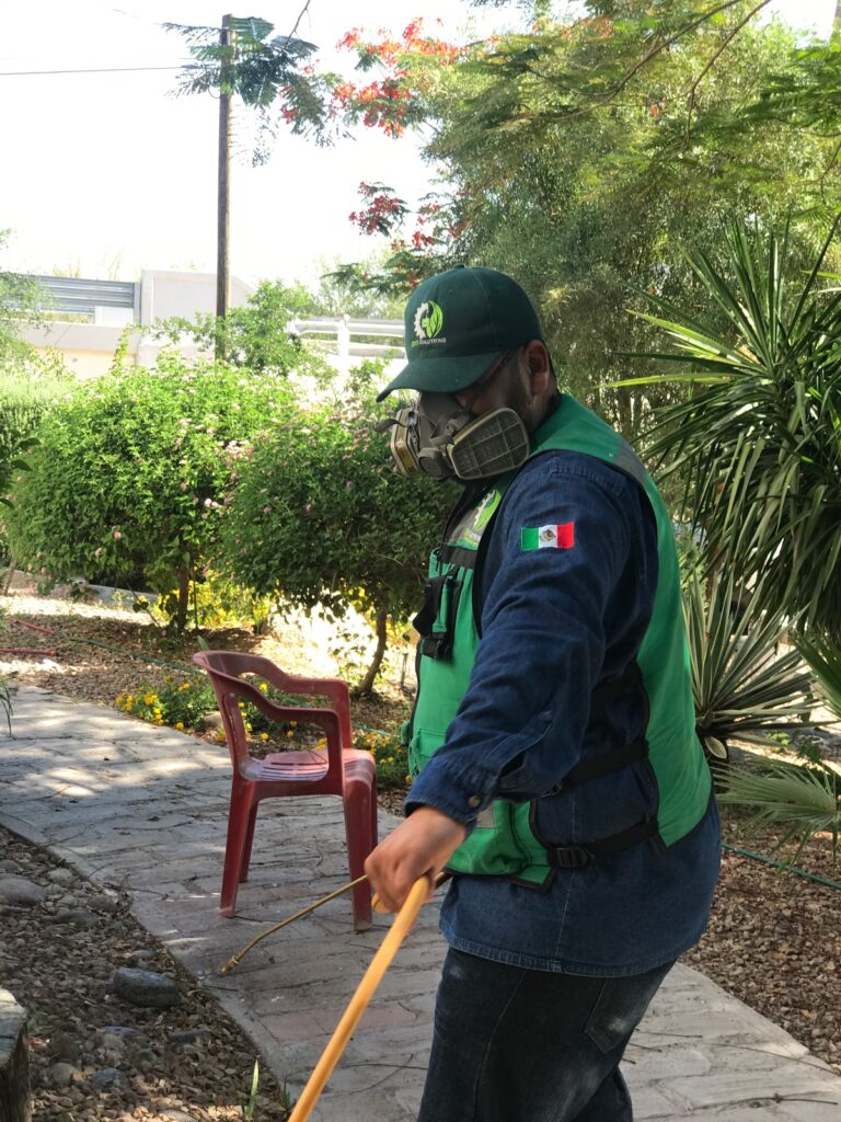 9193 ecosolutions fumigaciones ecologicas 768x1024