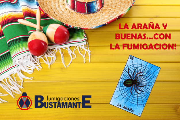 9211 fumigaciones bustamante