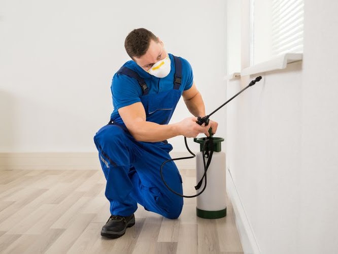 9221 fumigaciones vhsa