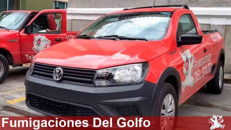 9235 fumigaciones del golfo 768x432