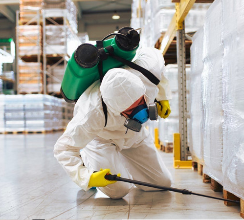 9241 fumigaciones en reynosa control de plagas fumigadores hope