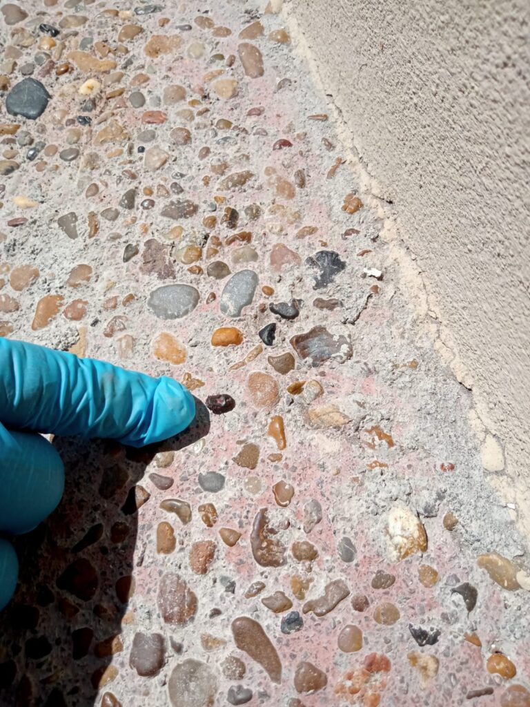 9250 fumigaciones sator 768x1024