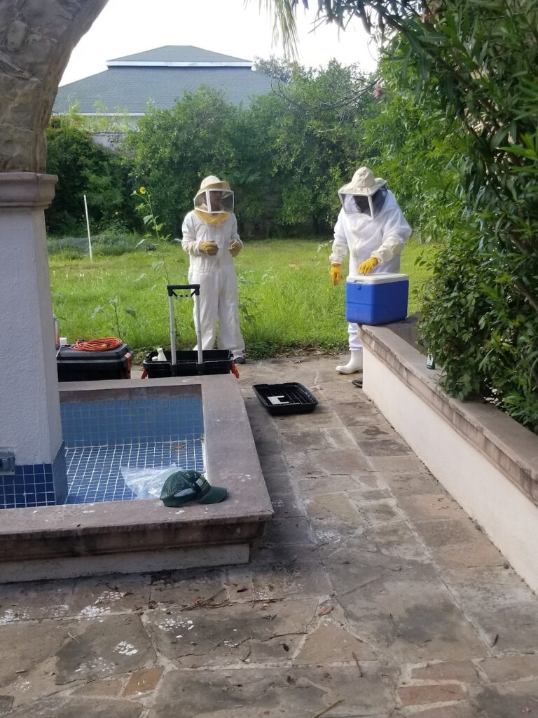 9254 control de plagas mordel 768x1024