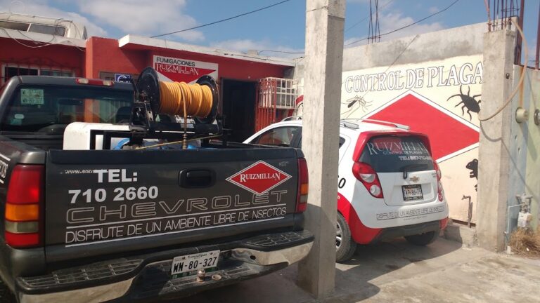 9262 control de plagas ruiz millan 768x432