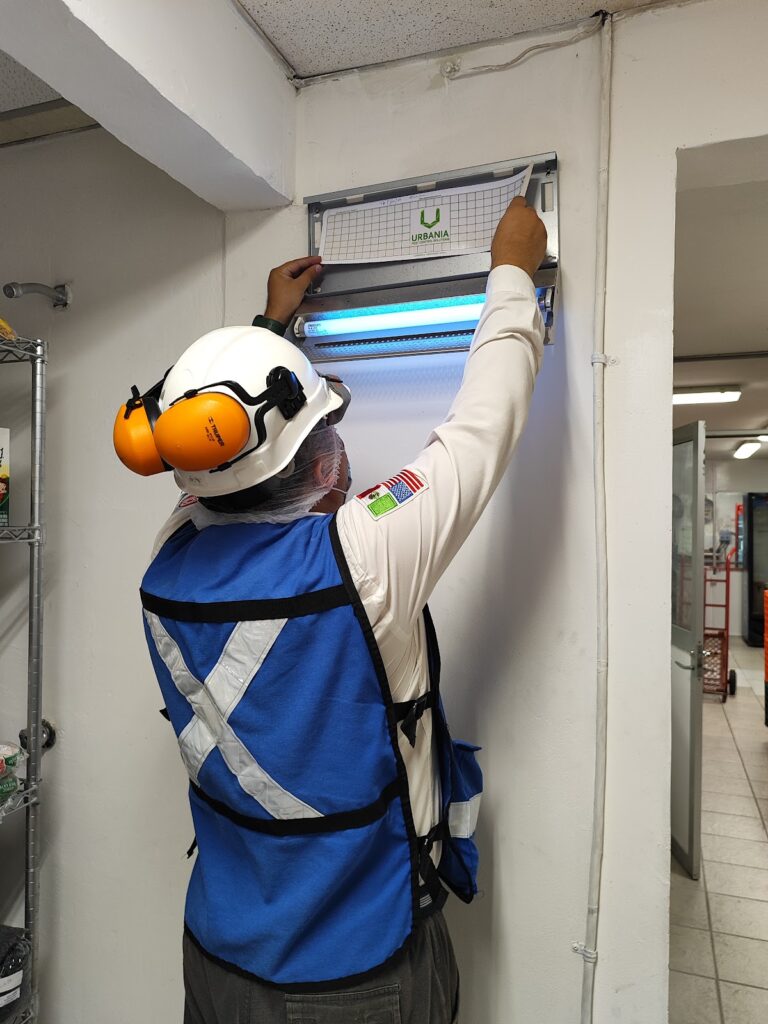 9280 fumigaciones xalapa control de plagas xalapa control de termitas grupo leoli 768x1024