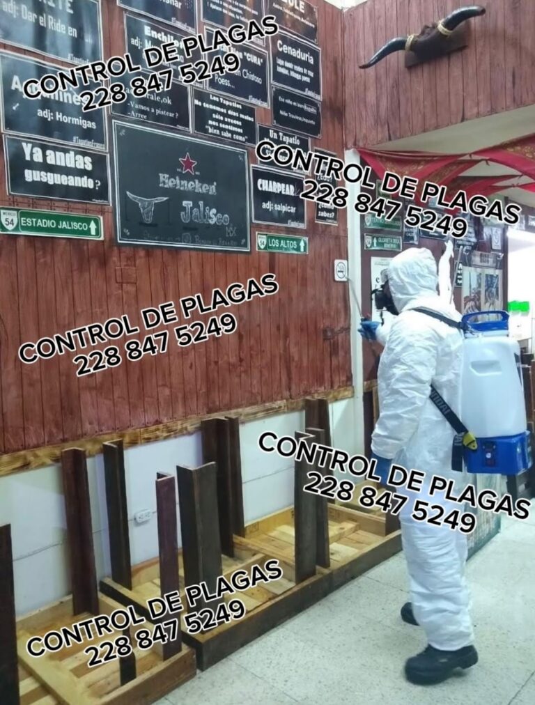 9282 servicio profesional para el control de plagas urbanas 768x1012