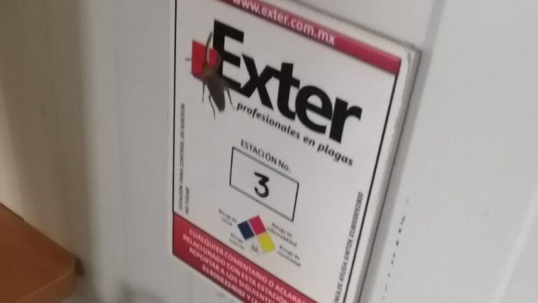 9288 exter fumigaciones veracruz 768x432