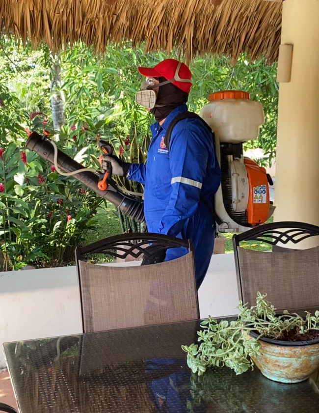 9292 tecnicontrol de plagas