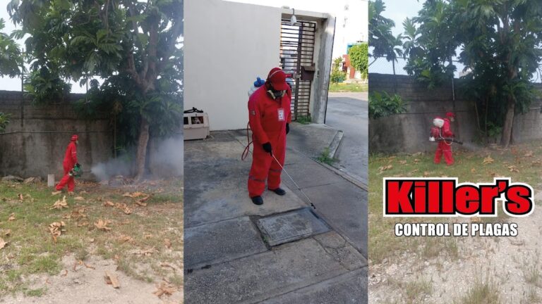 9294 killers control de plagas urbanas 768x432
