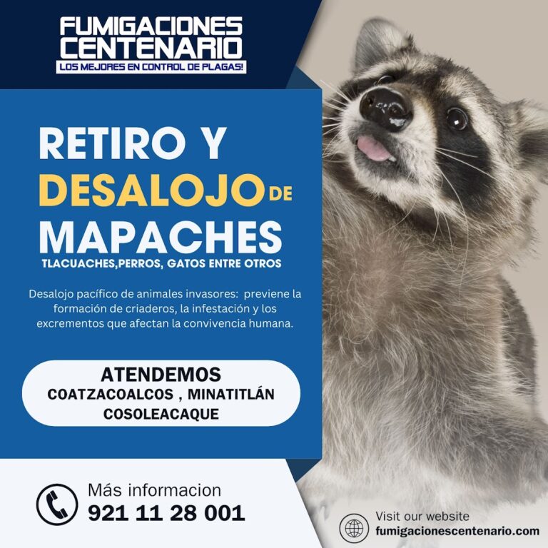 9296 fumigaciones centenario 768x768