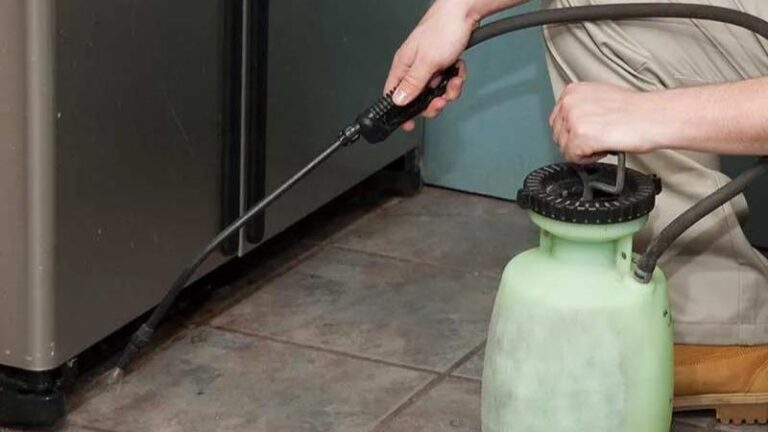 9308 control de plagas insecticidas y fumigaciones 768x432