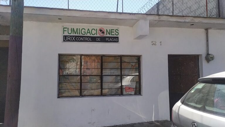 9314 ingenieria en control de plagas urix de orizaba 768x432