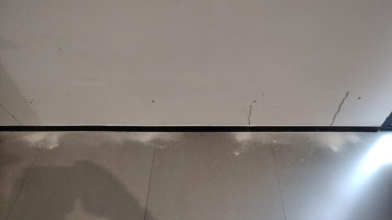 9323 sanidec mexico 768x432