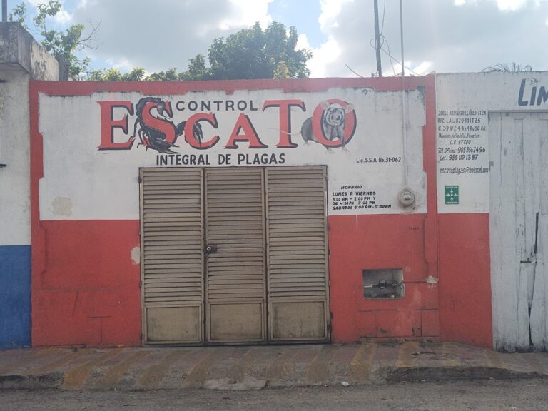 9329 fumigadora escato 768x576