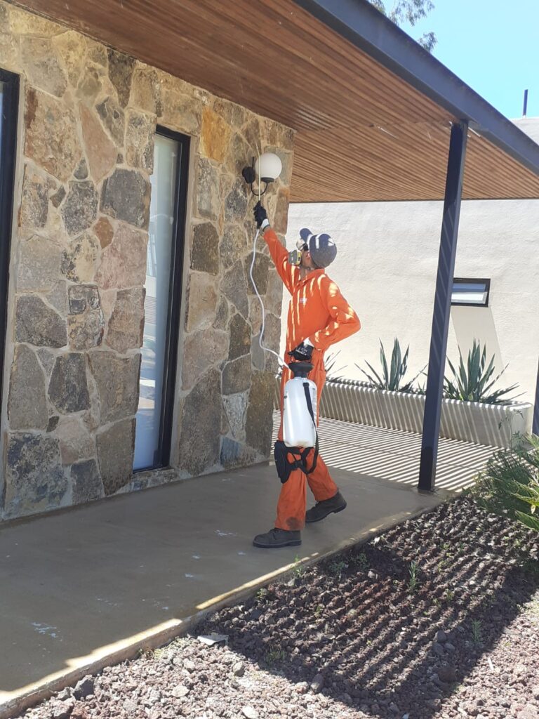 9377 agencia de limpieza azur 768x1024