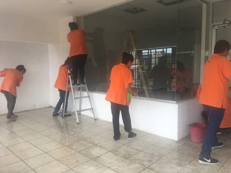 9463 assisthome chihuahua 768x576