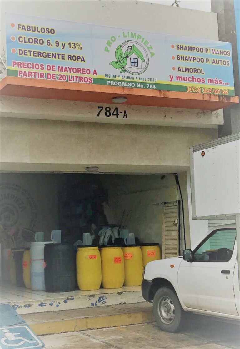 9556 pro limpieza 768x1116