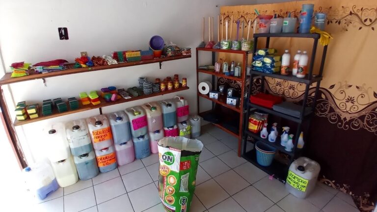 9588 productos de limpieza irapuato 768x432