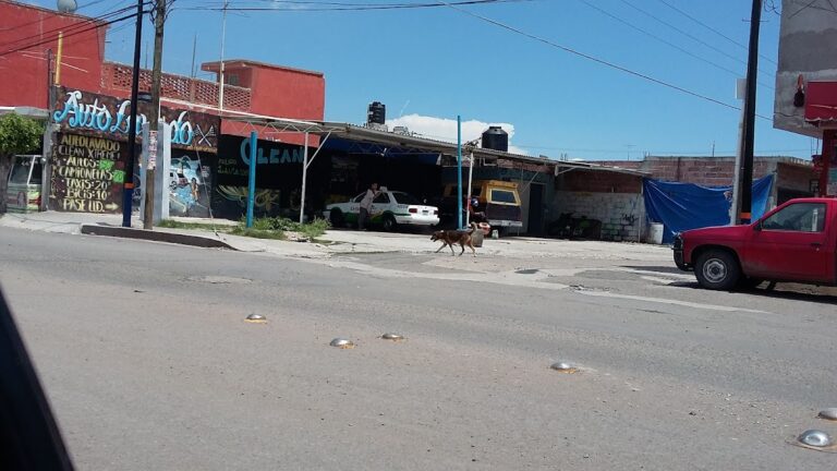 9600 clean extreme 768x432