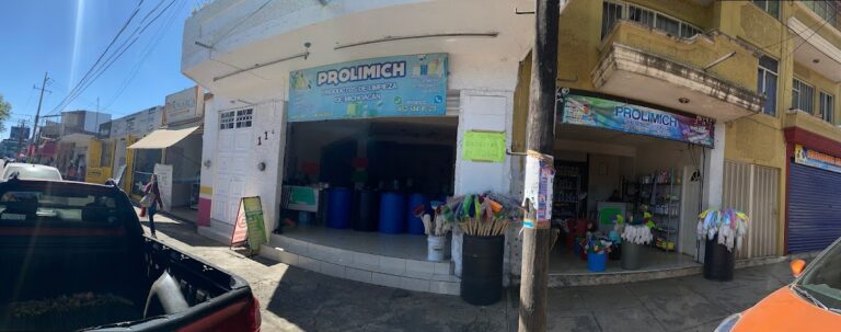 9747 prolimich productos de limpieza de michoacana 768x303