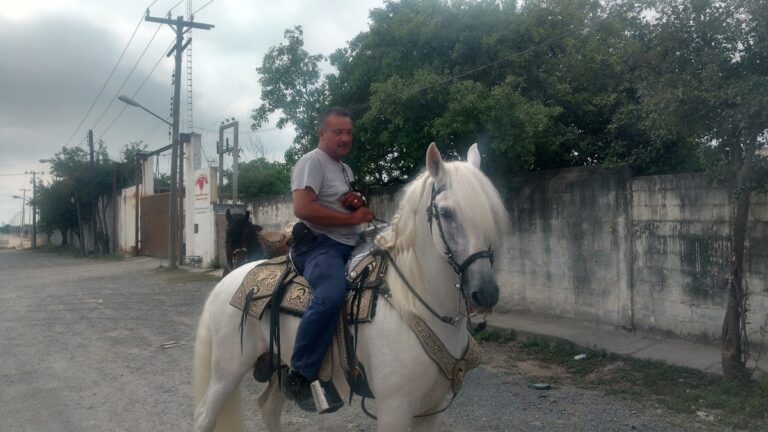 9815 homecare de mexico s.a. de c.v 768x432