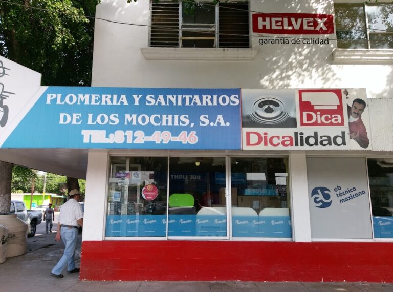 982 plomeria y sanitarios de los mochis 768x570
