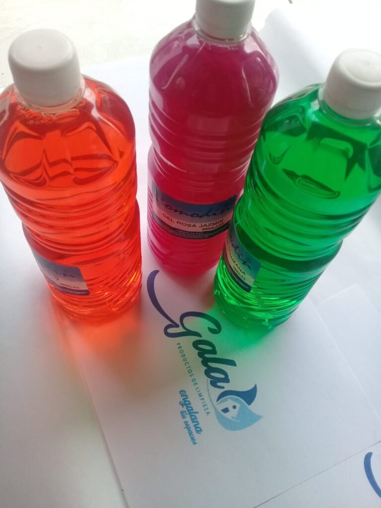 9847 gala productos de limpieza 768x1024